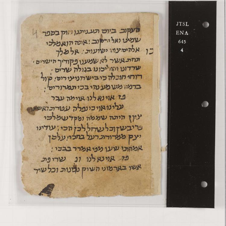 Scribes of the Cairo Geniza